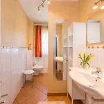 Meine Heimat - In - Inklusive Sommercard * Ramsau am Dachstein