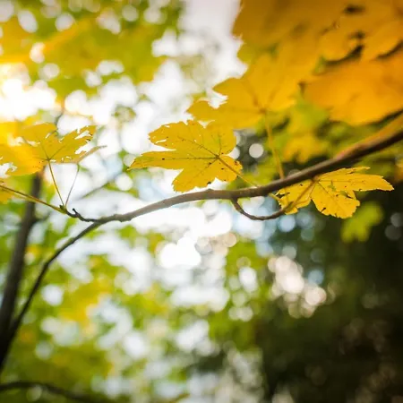 شقة Meine Heimat - In Bei Schladming - Skigebiet Amade رامساو أم داتشستين