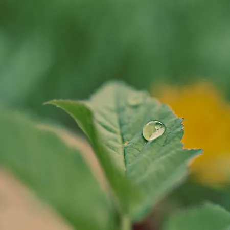 Апартаменти Meine Heimat - In - Inklusive Sommercard Рамзау-ам-Дахштайн