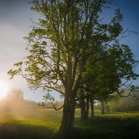 Апартаменти Meine Heimat - In - Inklusive Sommercard *