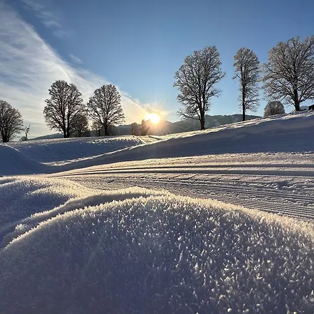 Appartement Meine Heimat - In Bei Schladming - Skigebiet Amade