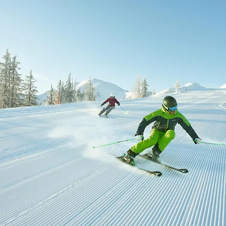 Meine Heimat - Apartments In Ramsau Am Dachstein - Inklusive Sommercard Appartement *