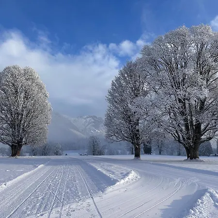 Bio-holzhaus Und Heimat Lägenhet Ramsau am Dachstein