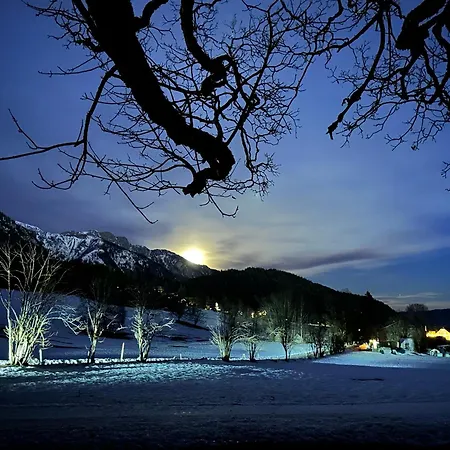 Lägenhet Bio-holzhaus Und Heimat Ramsau am Dachstein