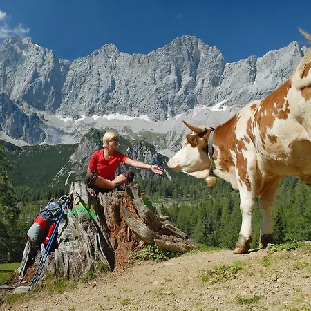 Meine Heimat - In Bei Schladming - Skigebiet Amade * رامساو أم داتشستين