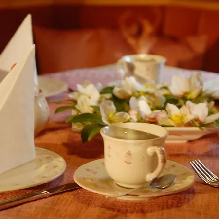 Appartement Meine Heimat - In Bei Schladming - Skigebiet Amade