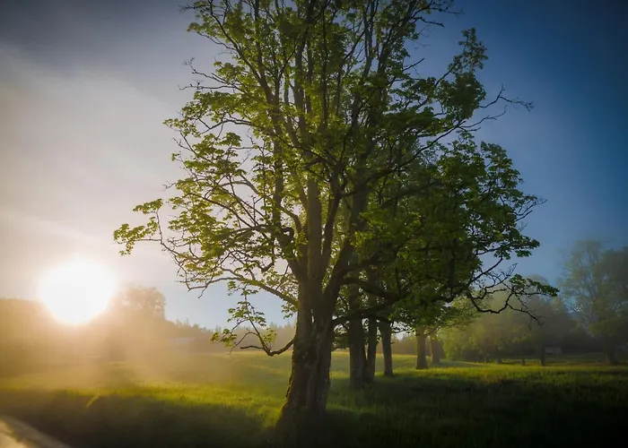 Апартаменти Meine Heimat - In - Inklusive Sommercard *
