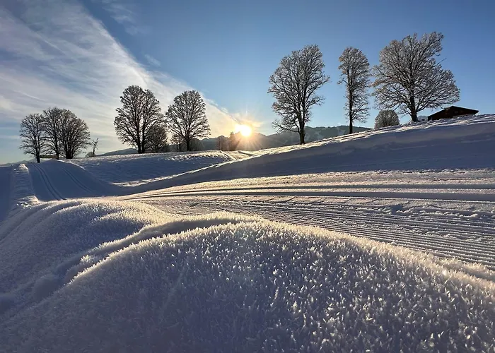 Appartement Meine Heimat - Apartments In Ramsau Am Dachstein - Inklusive Sommercard