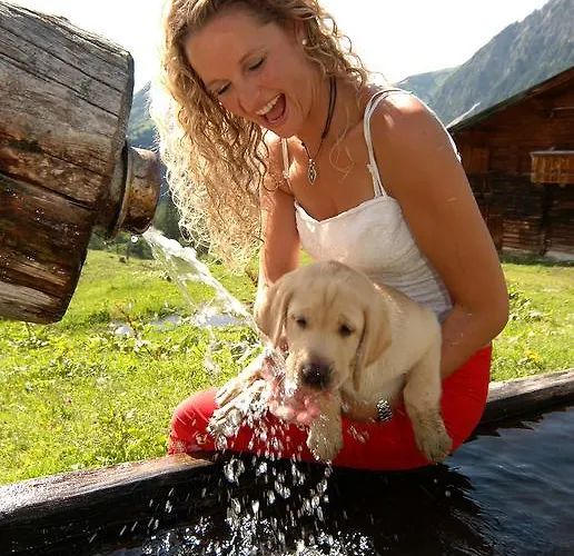 Meine Heimat - In - Inklusive Sommercard