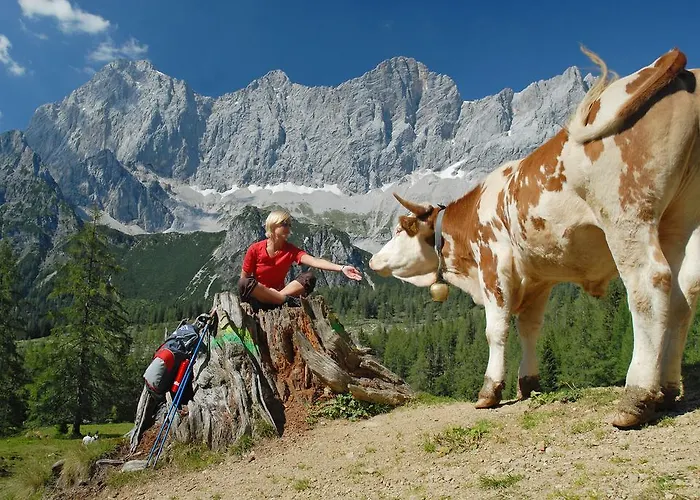 Meine Heimat - Apartments In Ramsau Am Dachstein - Inklusive Sommercard * Ramsau am Dachstein
